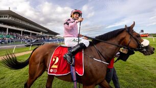 <p>Shane Foley celebrates after winning The Royal Bahrain Irish Champion Stakes (Group 1) with Hotazhell at Leopardstown last month. Pic: Morgan Treacy/Inpho</p> <p>Shane Foley celebrates after winning The Royal Bahrain Irish Champion Stakes (Group 1) with Hotazhell at Leopardstown last month. Pic: Morgan Treacy/Inpho</p>