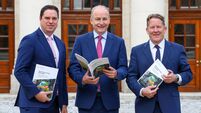 Ireland seen as 'significant channel' for investment in fossil fuels