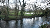 Funshion pilot targets nitrate loss around North Cork river
