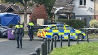 Bray incident