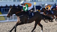 Sir Les Patterson can deliver first stakes success for Jack Kearney
