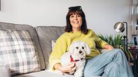 Warmer, cosier and cheaper to run – how a home energy upgrade is helping one committed homeowner