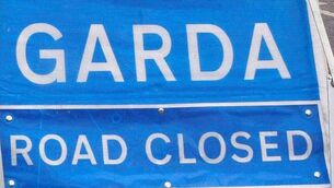 <p>A pedestrian died after being hit by a car near Burnfort, north Cork on Wednesday evening</p>