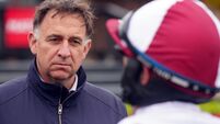 Punchestown Races - Wednesday October 14th