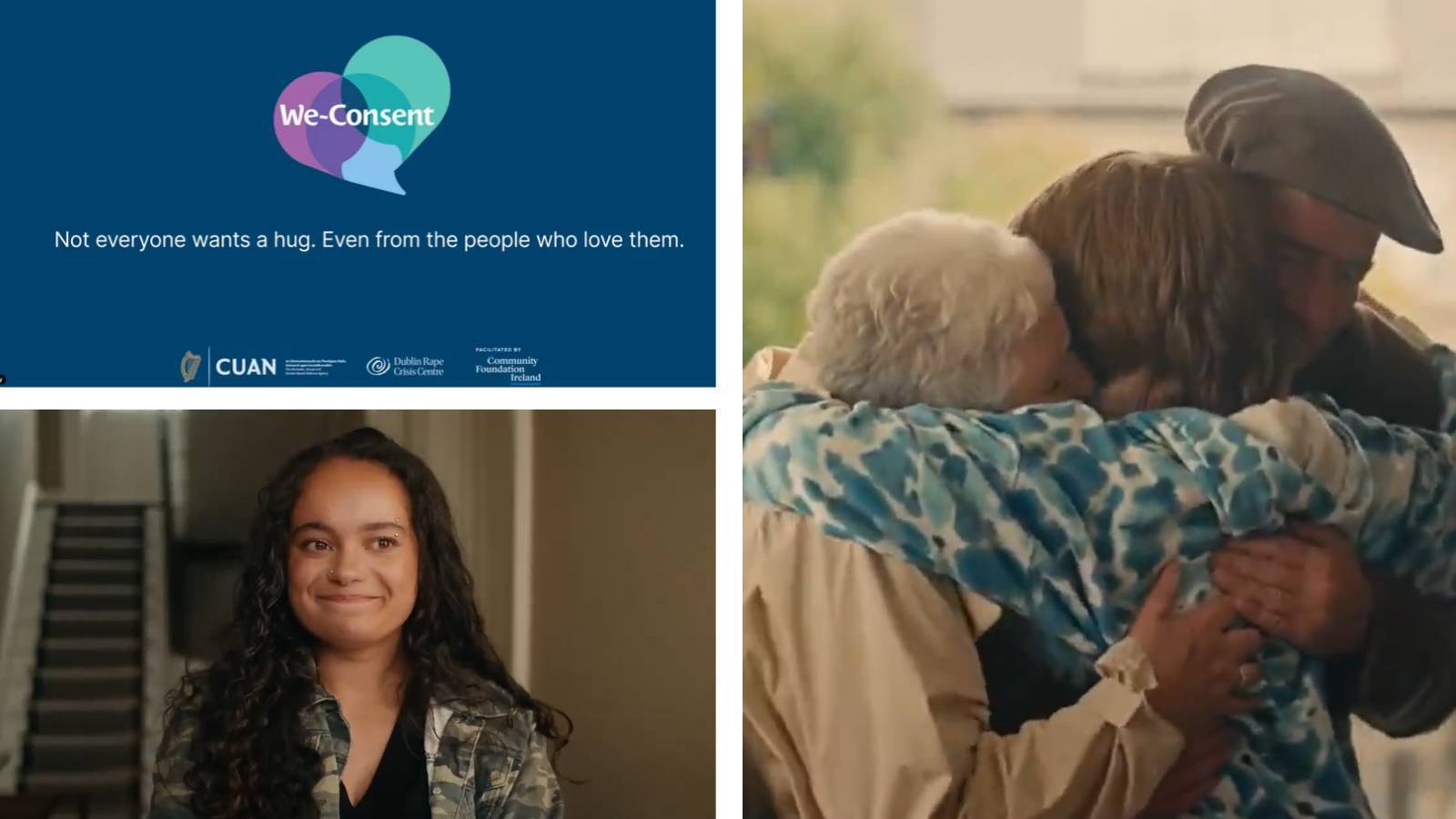 Jim O'Callaghan calls DRCC consent video 'inappropriate and demeaning to grandparents'; Dublin Rape Crisis Centre removes it from social media