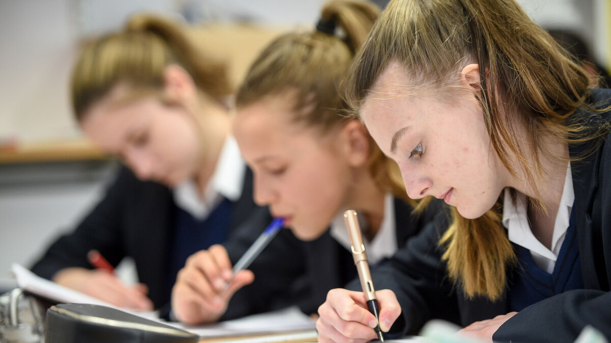 Computer Ai Photos Ireland risks leaving girls behind in its AI future, survey finds