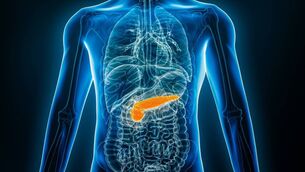<p>Treatment depends on the size and type of pancreatic cancer, where it is, if it has spread, and the patient’s general health. Picture: iStock</p>