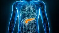 X-ray anterior or front view of human pancreas 3D rendering illustration with male body contours. Anatomy, organ of digestive sy