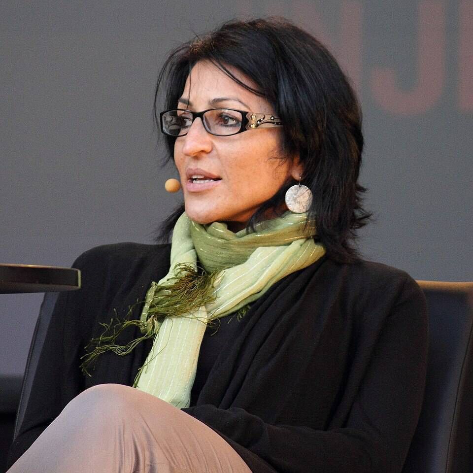 Author Susan Abulhawa. Author Susan Abulhawa.
