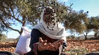 PALESTINIAN-ISRAEL-CONFLICT-WEST BANK-SETTLERS