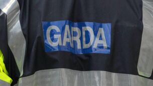 <p>The Garda Security Service, the intelligence wing of the GNCSIS, is also understood to have been involved.</p>