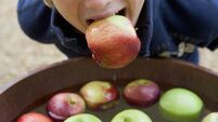 Irish growers hoping for a bigger bite of the apple
