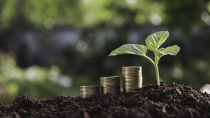 <p>10,997 Cork farmers qualified for BISS and CRISS payments.</p> <p>10,997 Cork farmers qualified for BISS and CRISS payments.</p>