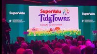 Westmeath village wins overall Tidy Towns award as Cork volunteer gets special mention