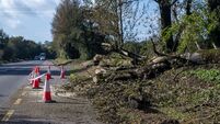 Orange warnings in Galway and Kerry as Storm Boelo brings heavy rain and strong winds