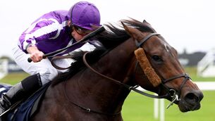 <p>Bengal Tiger and Ryan Moore win for owners Coolmore and trainer Aidan O'Brien. Pic: Healy Racing.</p> <p>Bengal Tiger and Ryan Moore win for owners Coolmore and trainer Aidan O'Brien. Pic: Healy Racing.</p>