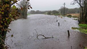 <p>Fields flood in Caheragh, West Cork in the midst of Storm Boelo. Picture: Andy Gibson</p> <p>Fields flood in Caheragh, West Cork in the midst of Storm Boelo. Picture: Andy Gibson</p>