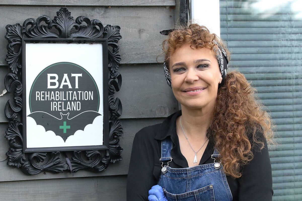 Susan Kerwin founded Bat Rehabilitation Ireland. Picture: Brendan Gleeson Susan Kerwin founded Bat Rehabilitation Ireland. Picture: Brendan Gleeson