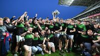 Patrick Kelly: Nemo nous and class seals number 24