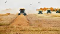 Combine harvester machines working on farm harvesting the crop