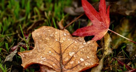 Cork traffic and weather: Met Éireann forecasts possible hail and thunder