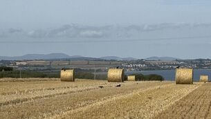 <p>Some of the good arable land at Ballyskibole, Co. Cork, on 29 acres.</p> <p>Some of the good arable land at Ballyskibole, Co. Cork, on 29 acres.</p>
