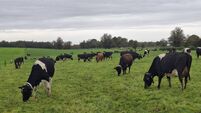 New policy aims to expand share of agricultural land under organics to 10%