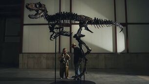 <p>Tuesday’s result makes “Jodi” the “second most valuable dinosaur ever sold at auction”, Sotheby’s noted. Picture: Sotheby's.</p> <p>Tuesday’s result makes “Jodi” the “second most valuable dinosaur ever sold at auction”, Sotheby’s noted. Picture: Sotheby's.</p>