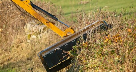 Hedge Trimming