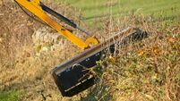 Hedge Trimming