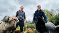 Joe McNamee: I dream of the good ol' days of the local farming co-op