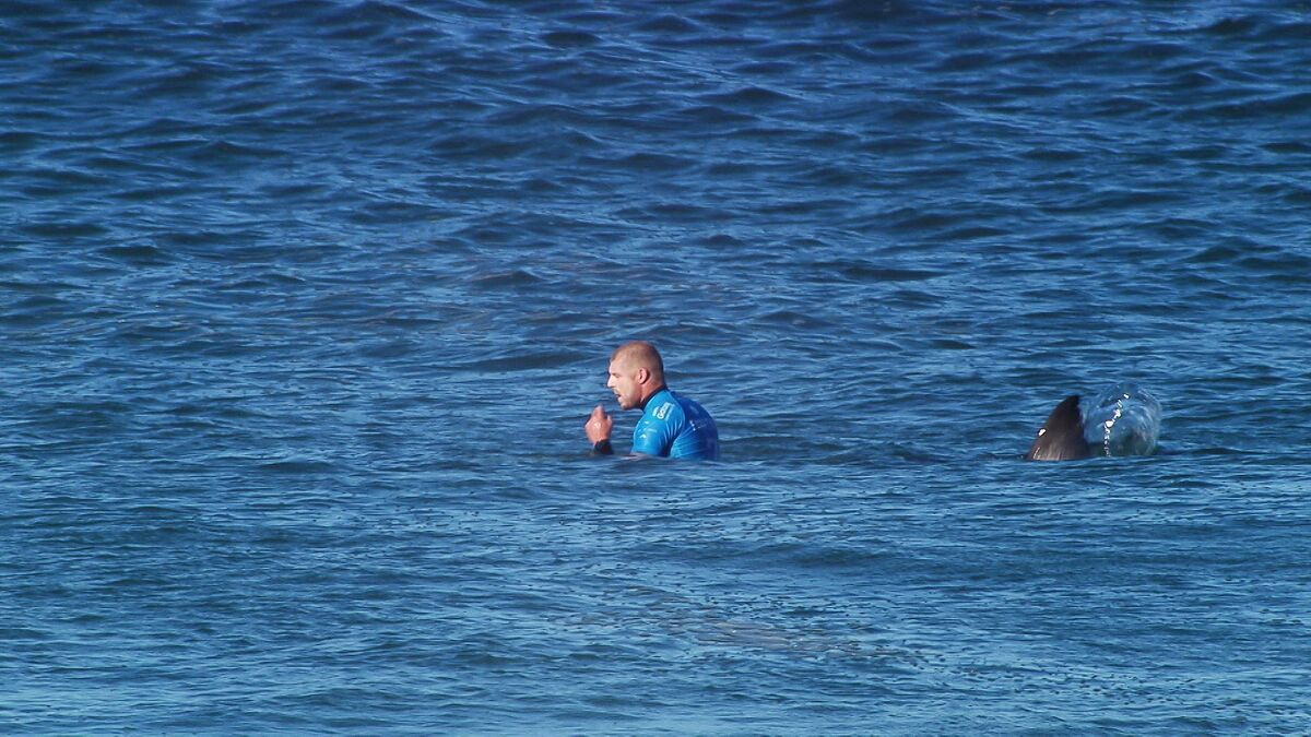 JEFFREYS BAY, EASTERN CAPE - JULY 19: In this screen grab from footage by the World Surf League, Mick Fanning being attacked by a Shark at the Jbay Open in Jeffreys Bay, South Africa. (Photo by WSL/World Surf League via Getty Images) JEFFREYS BAY, EASTERN CAPE - JULY 19: In this screen grab from footage by the World Surf League, Mick Fanning being attacked by a Shark at the Jbay Open in Jeffreys Bay, South Africa. (Photo by WSL/World Surf League via Getty Images)