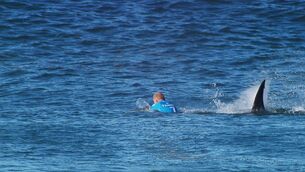 <p>HORROR MOMENT: 'Suddenly, I don’t feel invincible any more. I just feel very, very lucky. A shark that big can do whatever the hell it wants,' said surfer Mick Fanning after his near death experience.</p> <p>HORROR MOMENT: 'Suddenly, I don’t feel invincible any more. I just feel very, very lucky. A shark that big can do whatever the hell it wants,' said surfer Mick Fanning after his near death experience.</p>