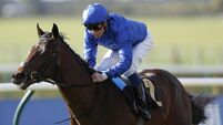 Ancient Wisdom file photo