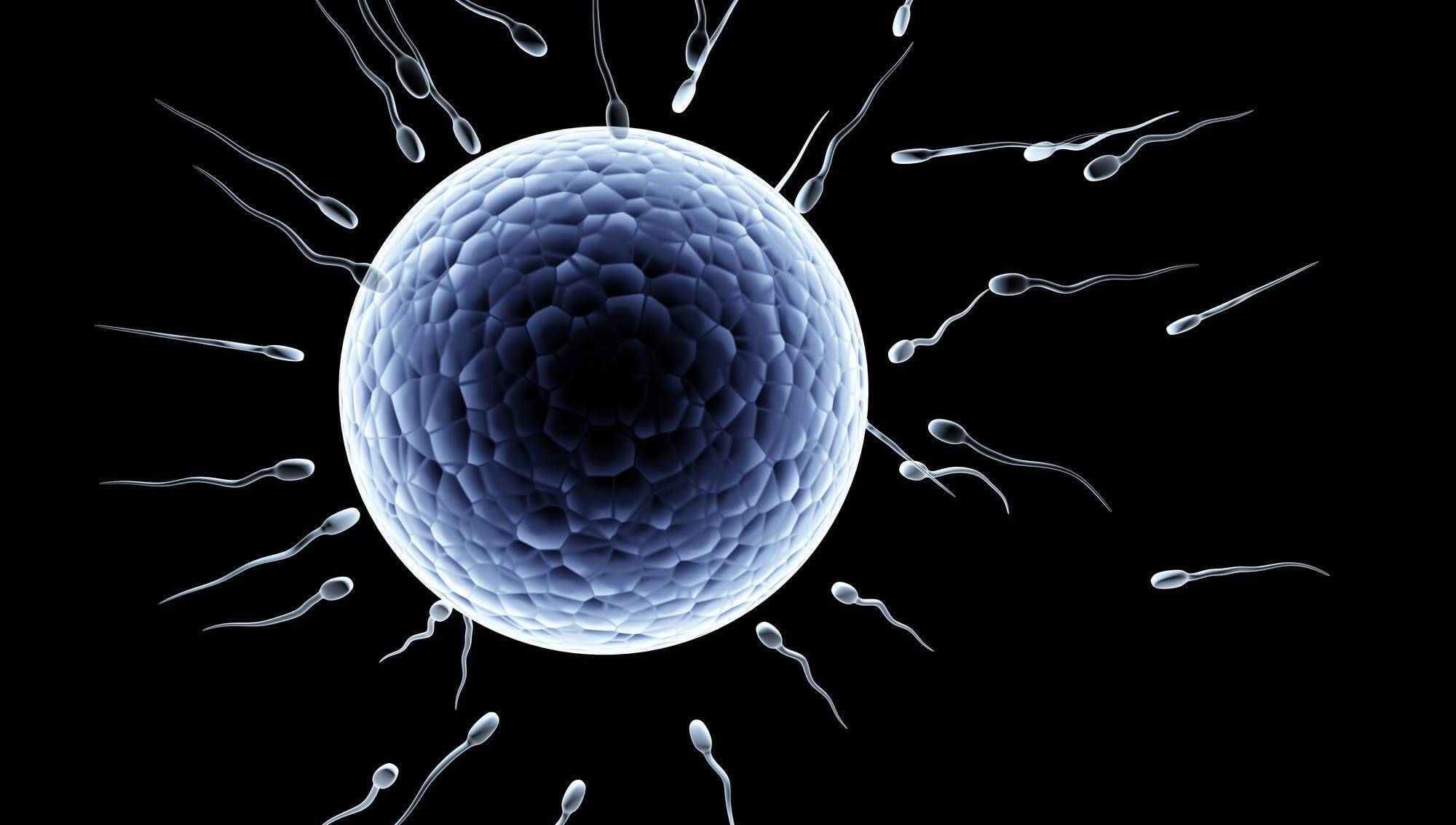 Regulator for fertility services plans to start selecting board by end of year