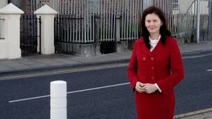 <p> Limerick solicitor and environmental campaigner Michelle Hayes. </p>