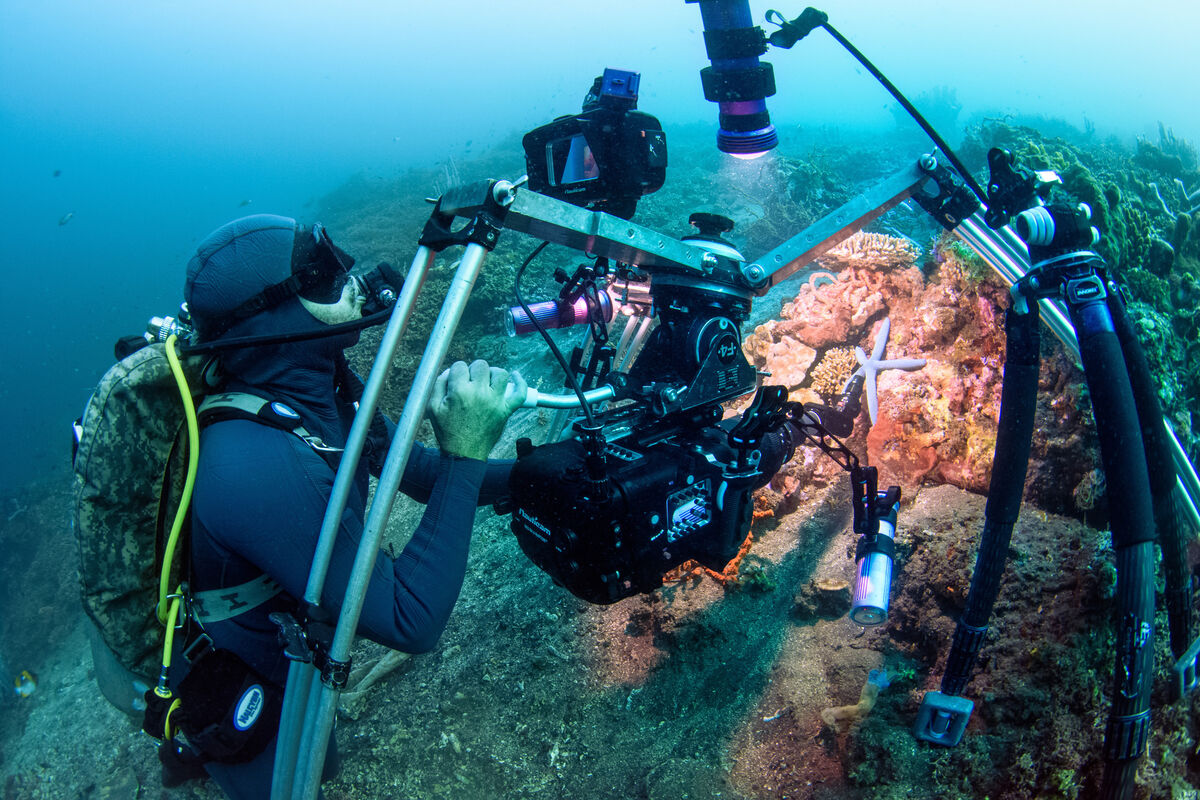 Sir David Attenborough narrates a new season of Blue Planet III, Sunday, BBC One, 8pm Picture: BBC Studios / Mike Veitch Sir David Attenborough narrates a new season of Blue Planet III, Sunday, BBC One, 8pm Picture: BBC Studios / Mike Veitch