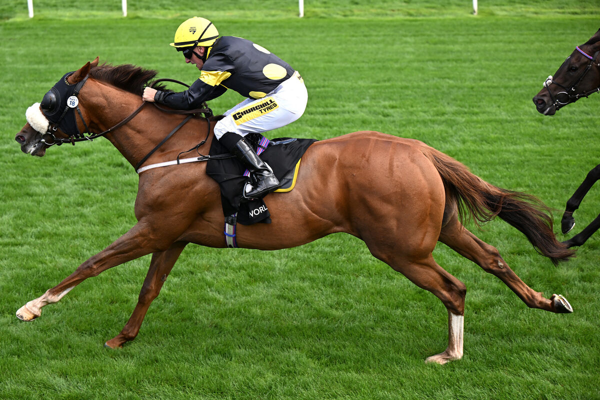 The black and yellow silks of Bond Thoroughbred. Pic: Healy Racing The black and yellow silks of Bond Thoroughbred. Pic: Healy Racing