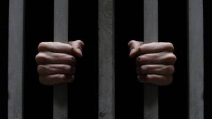 <p>An Irish Prison Service analysis said the measure would lead to the immediate release of 150 people. Picture: iStock</p>