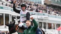 Gordon Elliott's winter stars set to run riot at Down Royal