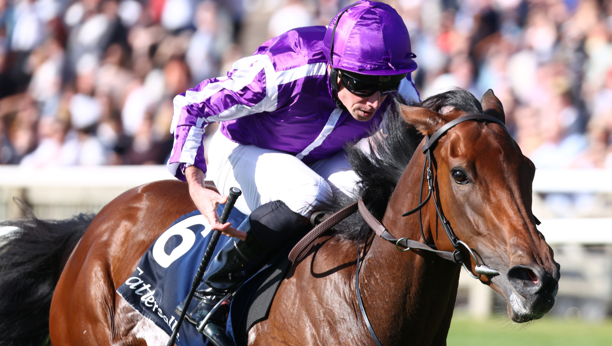 SHINING STAR: Sun Goddess en route to winning the Tattersalls Sceptre Sessions Cheveley Park Stakes at  Newmarket last month.  She will be looking for further Group 1 success at Keeneland on Friday night.  	Picture: Healy Racing