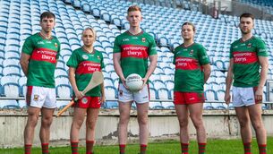 <p>The new jersey will once again carry the familiar green and red colours, this time featuring a horizontal brush stroke effect in two shades of green with a red stroke across the chest where the Intersport Elverys sponsor will sit.</p> <p>The new jersey will once again carry the familiar green and red colours, this time featuring a horizontal brush stroke effect in two shades of green with a red stroke across the chest where the Intersport Elverys sponsor will sit.</p>