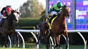 <p>Aidan O'Brien won the Breeders’ Cup Juvenile Turf for the fifth consecutive time. Pic: Healy Racing</p> <p>Aidan O'Brien won the Breeders’ Cup Juvenile Turf for the fifth consecutive time. Pic: Healy Racing</p>