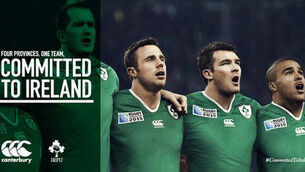 PIC: Ireland Rugby World Cup jersey revealed