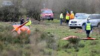 Investigators seeking footage of final moments of flight that killed pilot in Longford