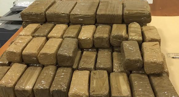 Cannabis worth €380,000 seized at Rosslare