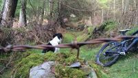 Cyclist lucky to escape neck-high barbed wire ‘booby trap’ on Co Wicklow trail
