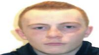 Gardaí seek public assistance in locating missing Limerick teenager