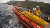 RNLI: Distressed sheep rescued after 200ft cliff fall