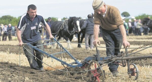 Jeremiah and JJ Delaney, Macroom, Co Cork, ploughing in the u40 horse class at the National Ploughing Championships. Pic: Dan Linehan Jeremiah and JJ Delaney, Macroom, Co Cork, ploughing in the u40 horse class at the National Ploughing Championships. Pic: Dan Linehan